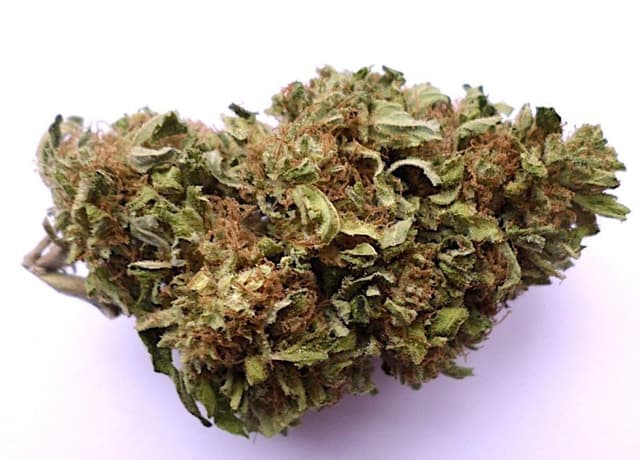 Tahoe Cheese - Hybrid Cannabis Strain