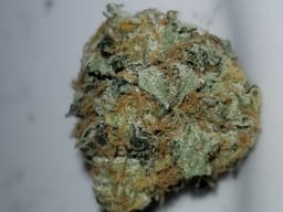 Vanilla Bean cannabis strain
