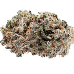 Watermelon Lifesaver cannabis strain
