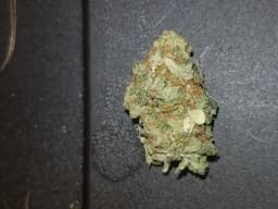 White Diesel cannabis strain