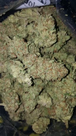 White OG cannabis strain