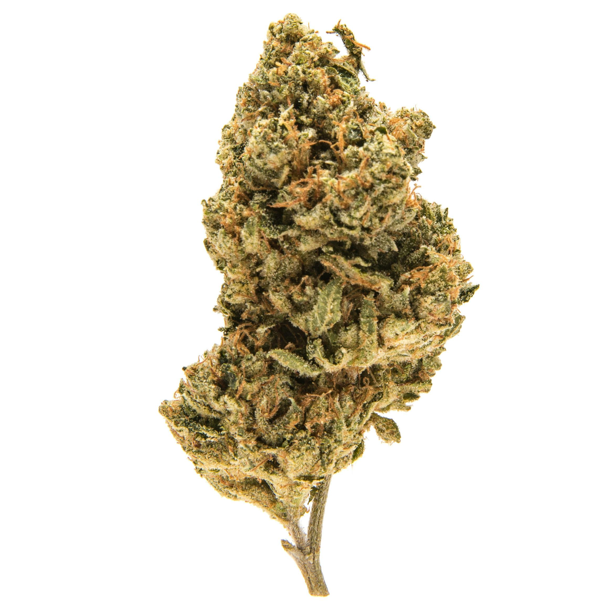 Legend OG | Weedpedia | Coupons & Reviews