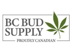 bc bud supply review