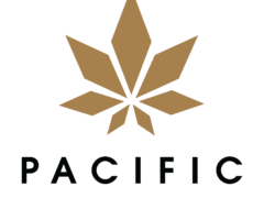 pacific cannabis online dispensary review