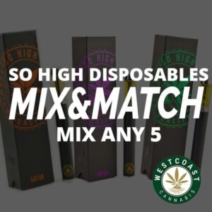 Mix and Match So High Extracts BHO Full Spectrum/Distillate Disposable Pen – 5