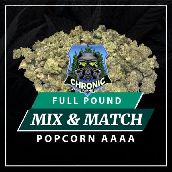 (AAAA) POPCORN Full Pound Mix & Match (16OZ)