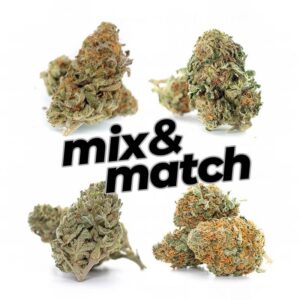 1 OUNCE MIX AND MATCH (AAAA)