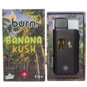 Burn - Banana Kush 3 Grams Disposable Vape