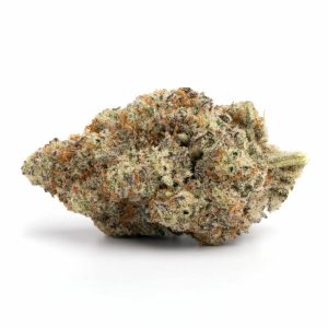 Jack Herer